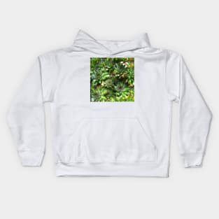 Succulent splendour  green bloom Kids Hoodie